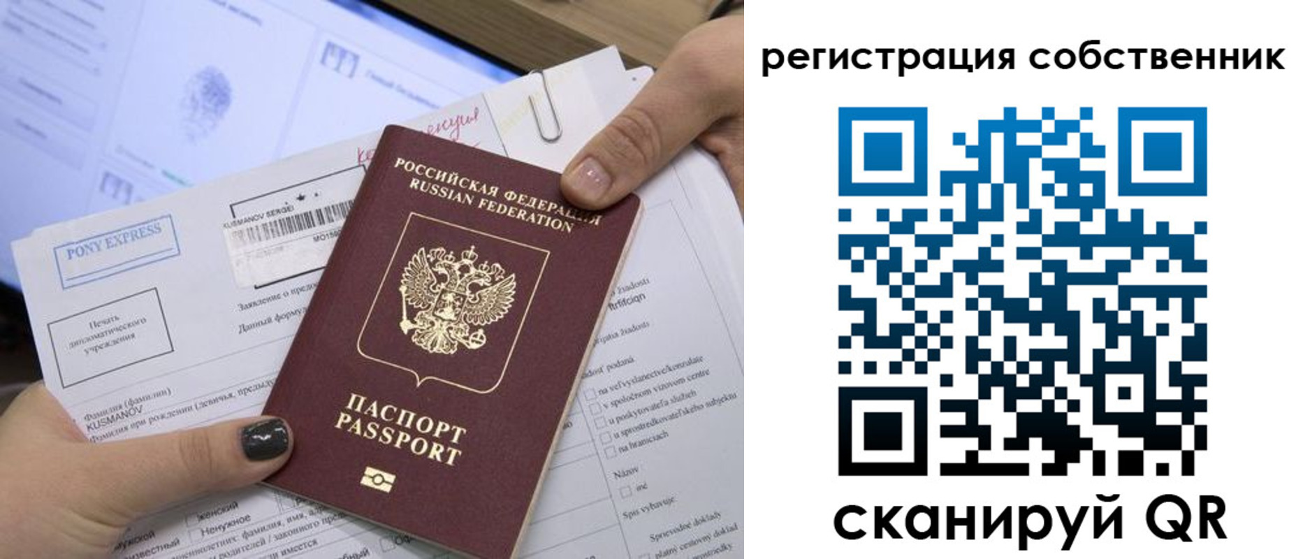 прописка поиск в Каргополе